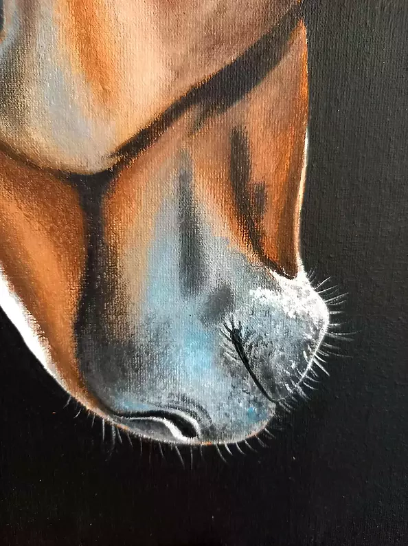 Agnieszka Mantaj - bay horse