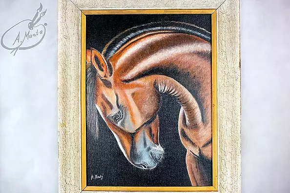 Agnieszka Mantaj - bay horse