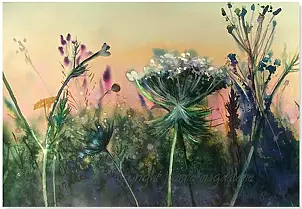 Joanna Magdalena - A lyrical hour