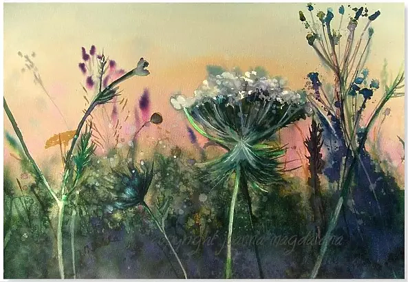 Joanna Magdalena - A lyrical hour