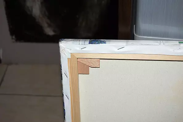 Amelia Augustyn - Gołąb