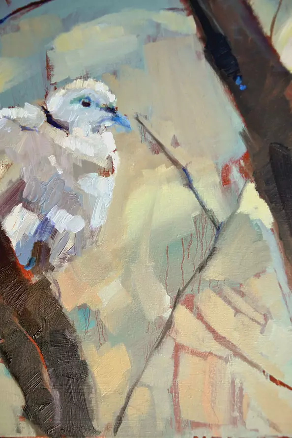 Doma Suszczyńska - Gołąb