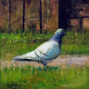 Piotr Pilawa - Gołąb na trawie