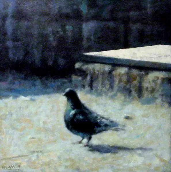 Piotr Pilawa - dove podwórkowy