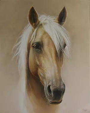 Marzena Zuk - Golden horse