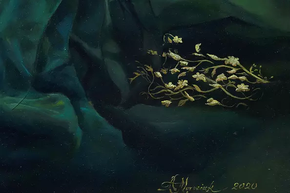 Agnieszka Morysiak - Dove