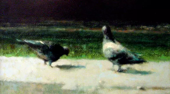 Piotr Pilawa - pigeons paving