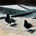 Piotr Pilawa - Pigeons carrés III
