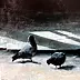 Piotr Pilawa - Pigeons tyred II