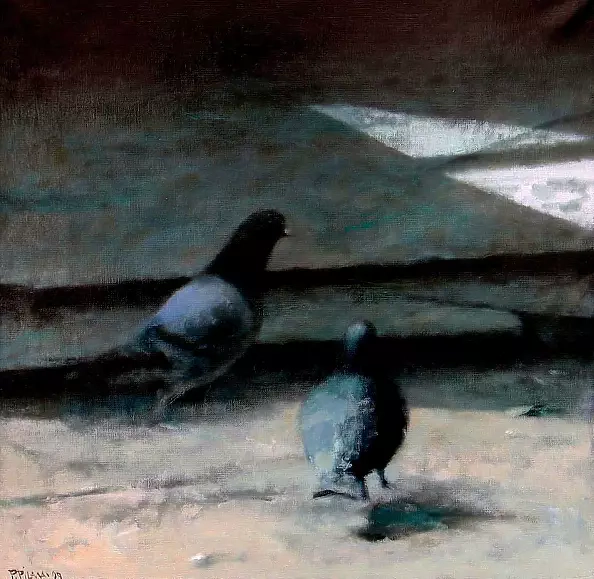 Piotr Pilawa - Square pigeons