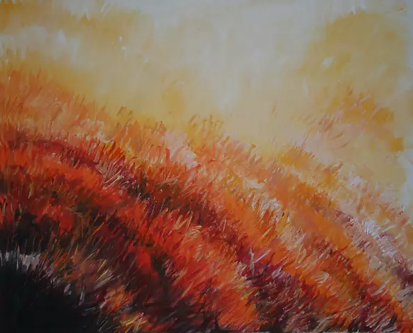 Joanna Brzostowska - Fever