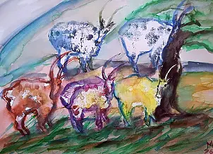 Marzena Salwowska - Górskie siostry patrzące w jedną stronę/Kozy, które wysoko zaszły...