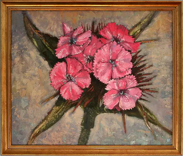 . ivonneimages - Goździki 