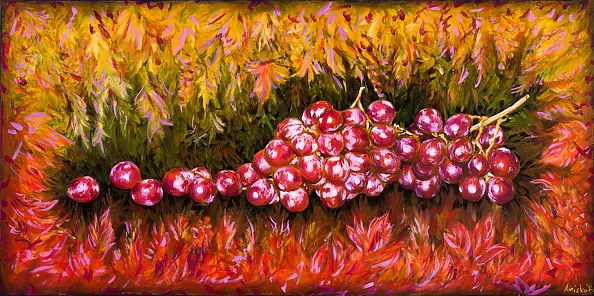 Mariusz Krzysztof Aniśko - grapes