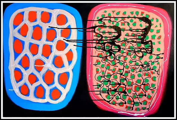 Paweł Zakrzewski - Gravity of soft bodies