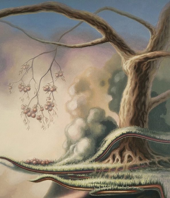 Paweł Sadowski - Grawitacja