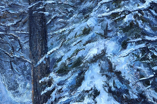 Michał Nowakowski - Grudniowy zachód słońca