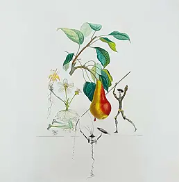 Salvador Dali - Don Quixote's Pear