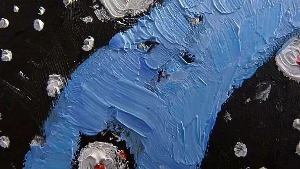 Elżbieta Goszczycka - Gwiaździsta noc