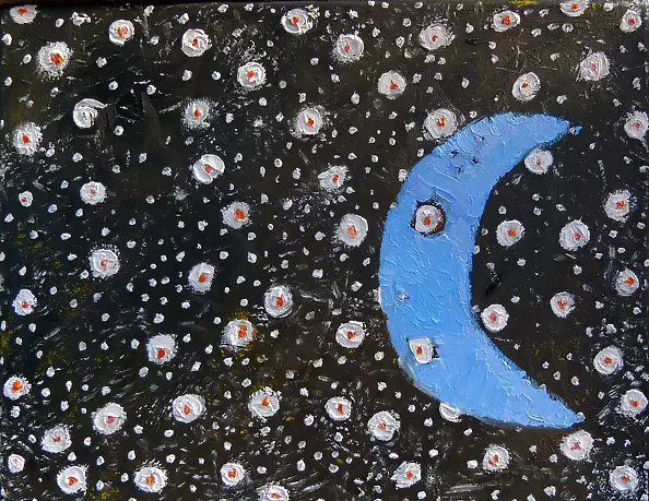 Elżbieta Goszczycka - Gwiaździsta noc