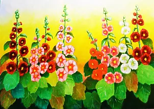 Zenon Różycki - HOLLYHOCKS (MALWY)