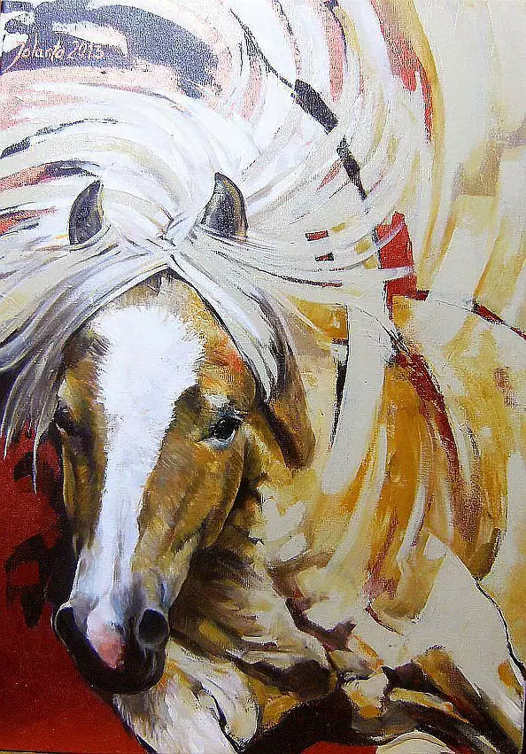 Jolanta Kalopsidiotis - Haflinger