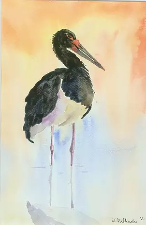 Zdzisław Rutkowski - Hajstra - black stork