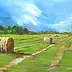 Janusz Orzechowski - Haymaking