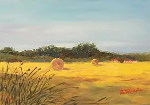   - Bundles of hay in San Giuliano Vecchio