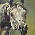 Andrzej Hamera - Head of a Horse (white horse)