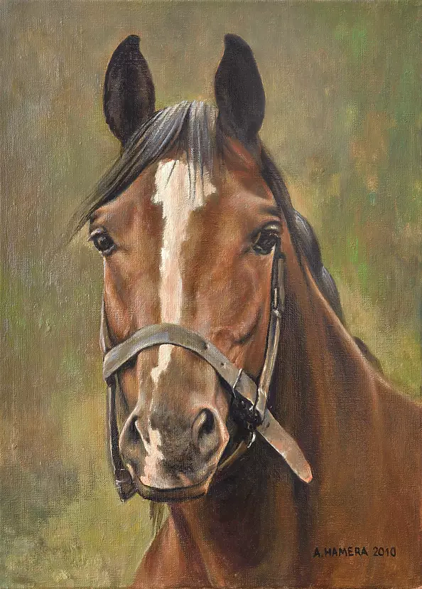 Andrzej Hamera - head horse