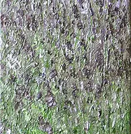 Marta Machowicz - heathers