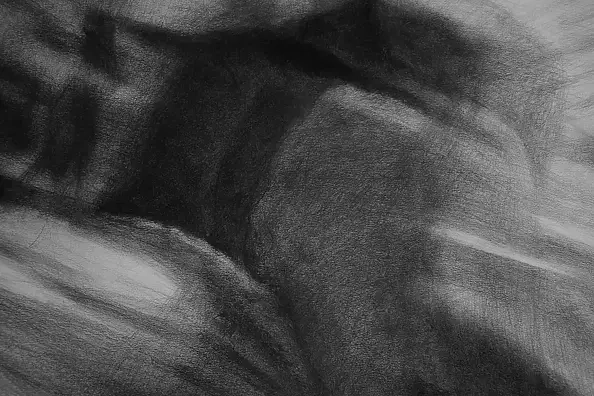 Kamila Ossowska - Hedonia