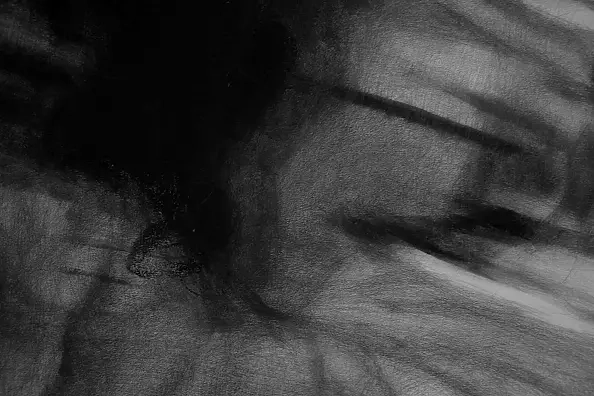 Kamila Ossowska - Hedonia