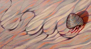 federico cortese - Hermit crab on his way back home