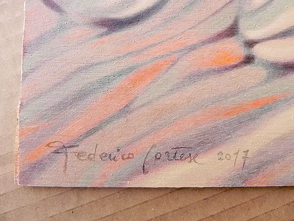 federico cortese - Hermit crab on his way back home