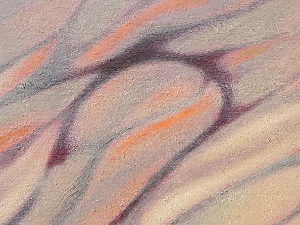 federico cortese - Hermit crab on his way back home