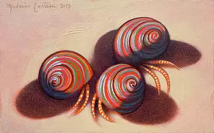 federico cortese - Hermit crabs on the shore