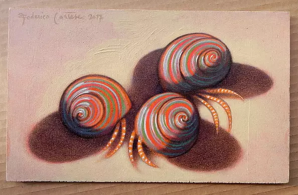 federico cortese - Hermit crabs on the shore