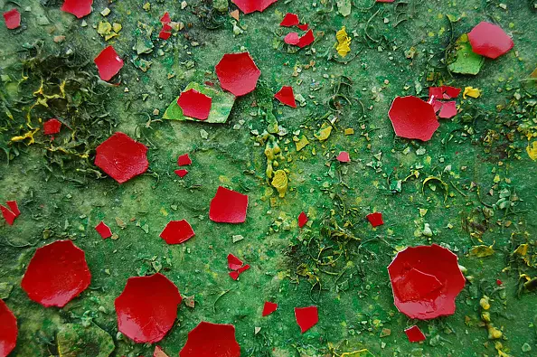 Rachel McCullock - Hertfordshire Sunrise