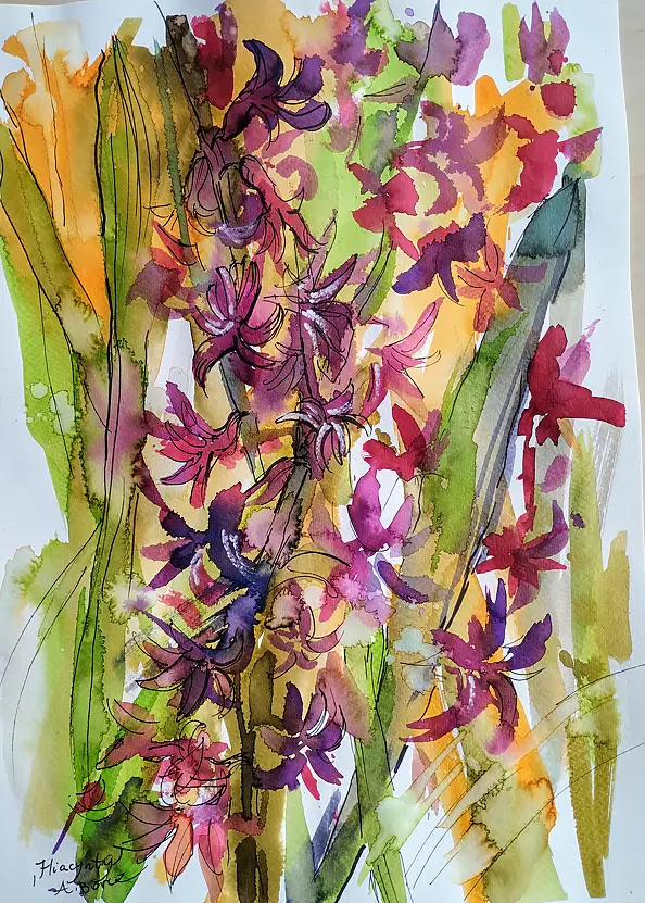 Anna Borcz - Hiacynty