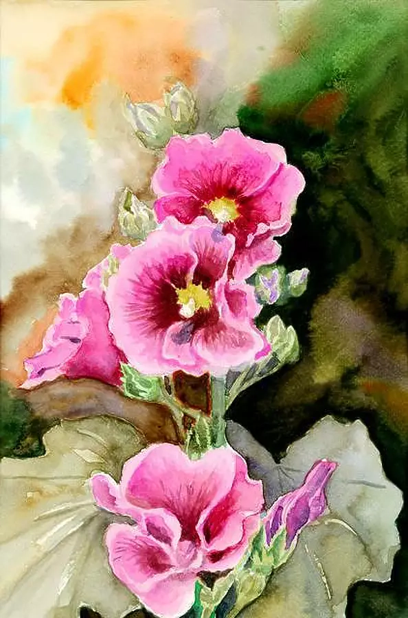 Zdzisław Rutkowski - Mallows from my garden