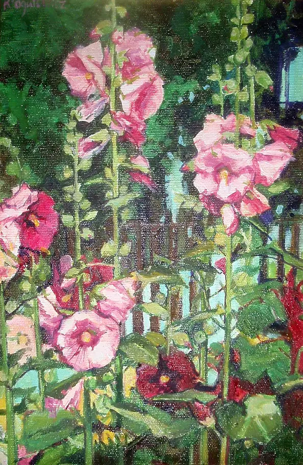 Katarzyna Kogutowicz - Mallows