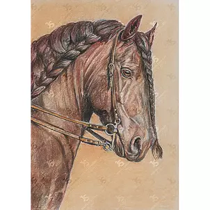 Jowita Szmigiero - Horse With Braid