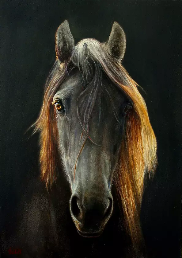 Marzena Zuk - Horse in black