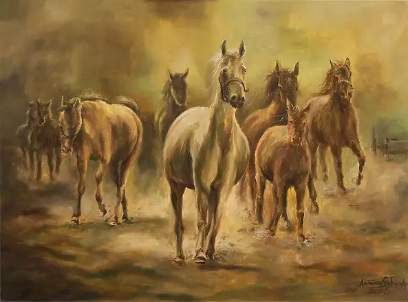 Natasza Sobczak - horses