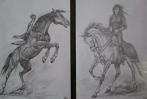 Ewelina Ozóg - Konie