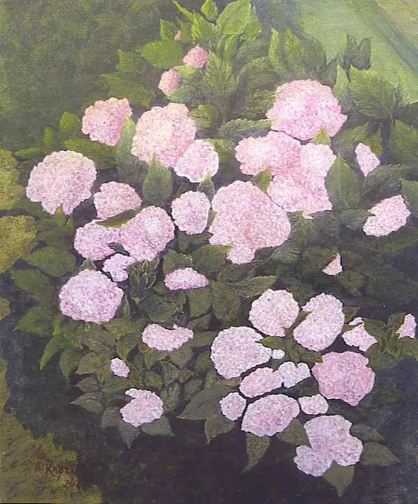 Antonina Radzięda - Hydrangea