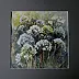 Grażyna Grabowska - hydrangeas