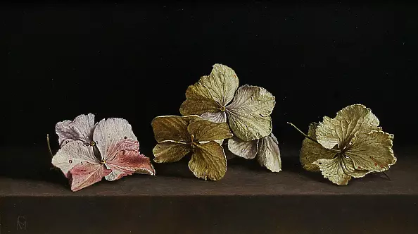 Maciej Cichocki - Hortensje